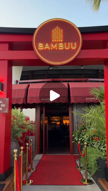 @jf.mallorca — Bambuu Mallorca